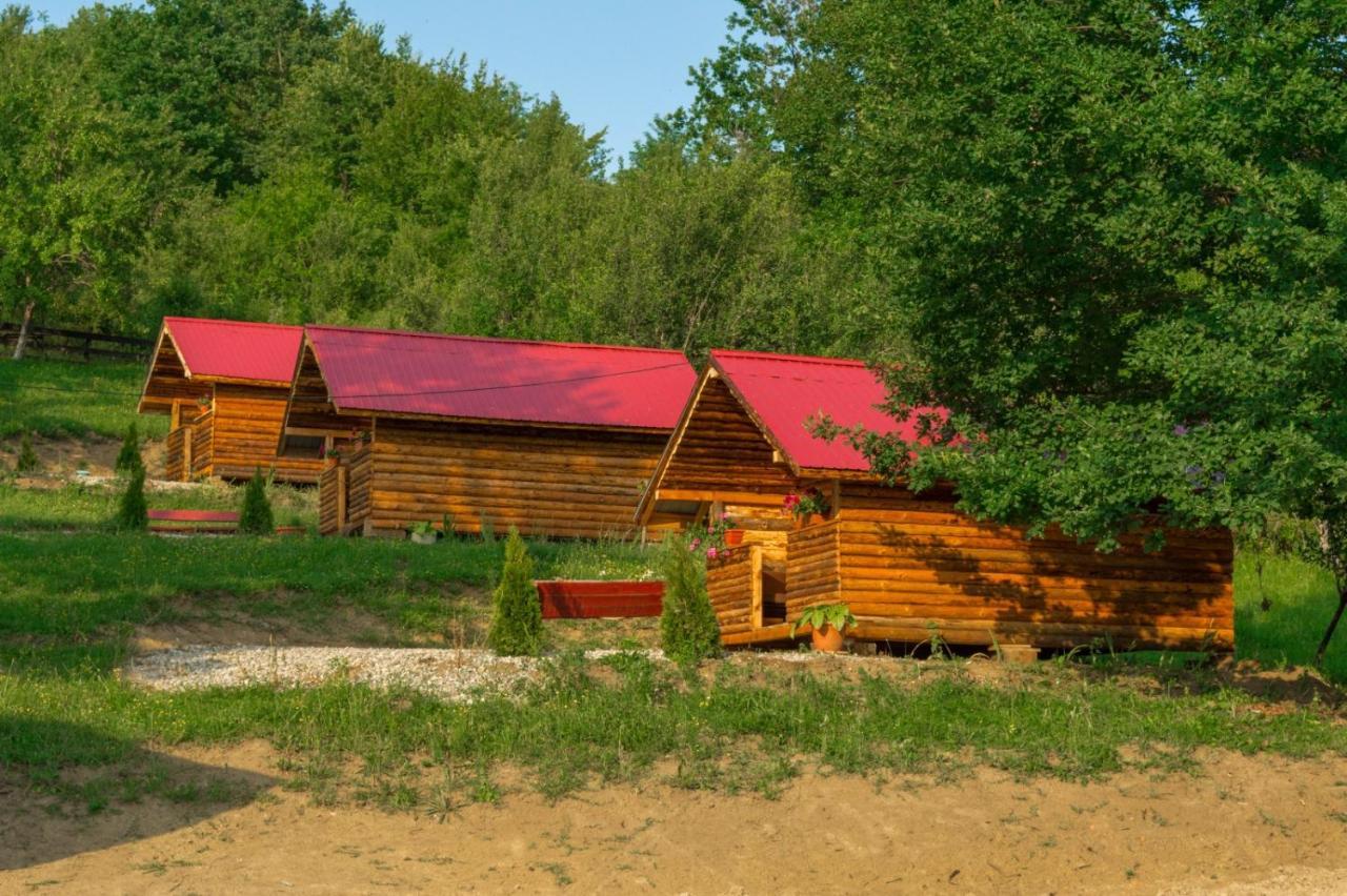 Hotel La 3 Stejari, Calimanesti Salatrucel Exterior foto