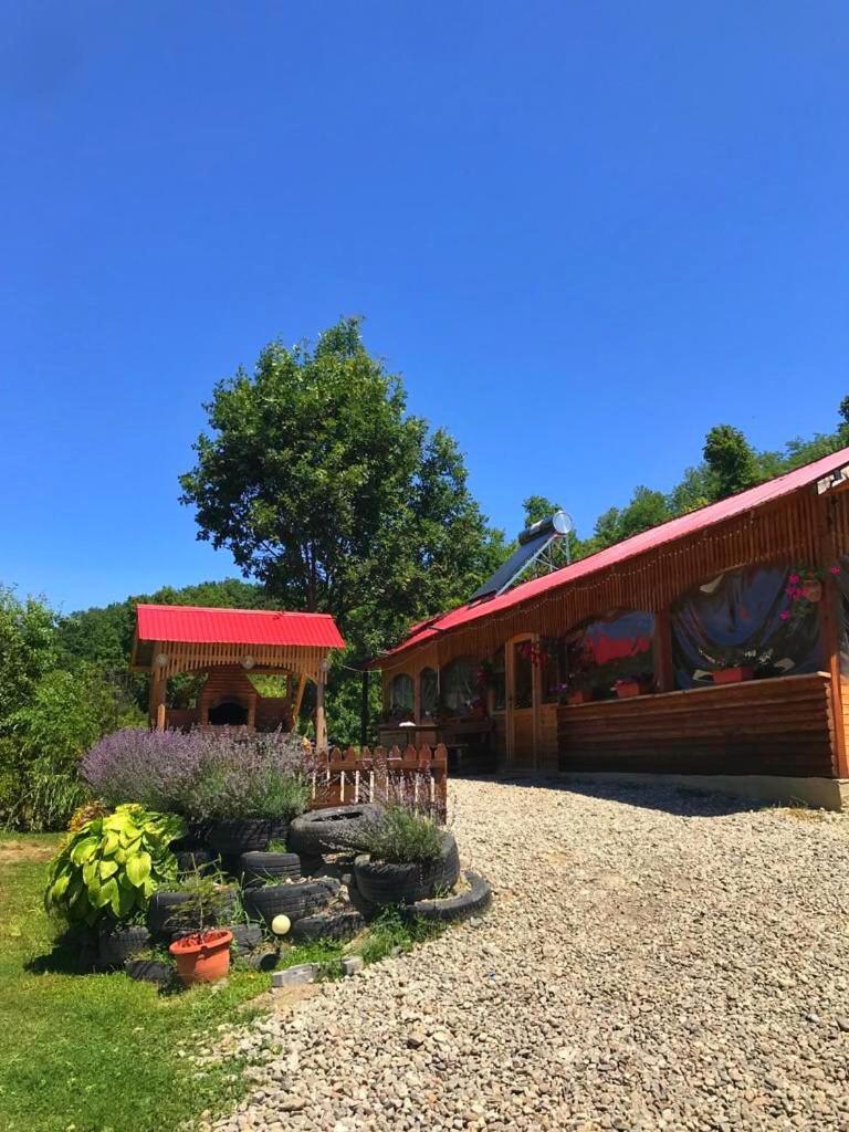 Hotel La 3 Stejari, Calimanesti Salatrucel Exterior foto