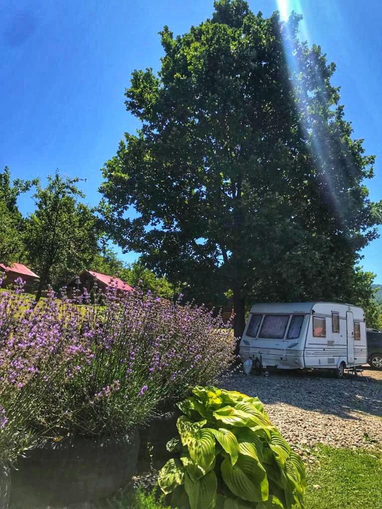 Hotel La 3 Stejari, Calimanesti Salatrucel Exterior foto