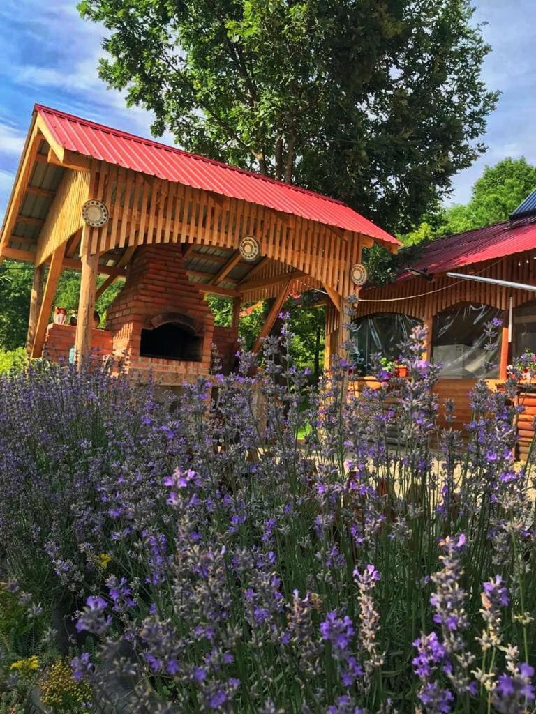 Hotel La 3 Stejari, Calimanesti Salatrucel Exterior foto